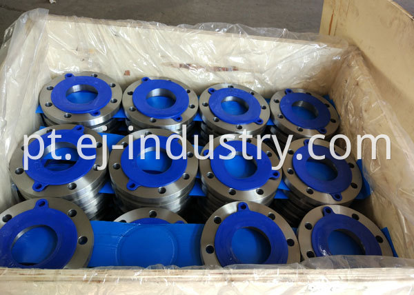 Stainless Flange